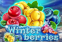 Winter Berries>